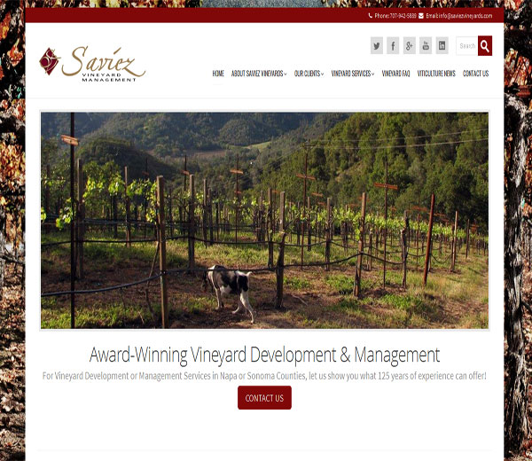 Saviez Vineyard management in Napa.